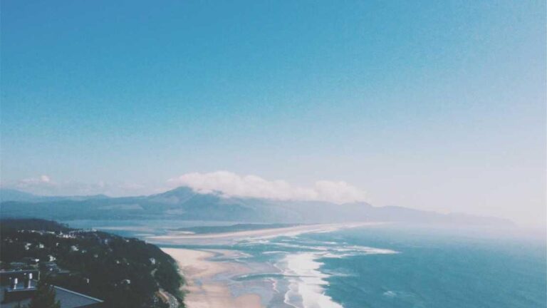 How Do Beginners Use Cricbet99 For The First Time?